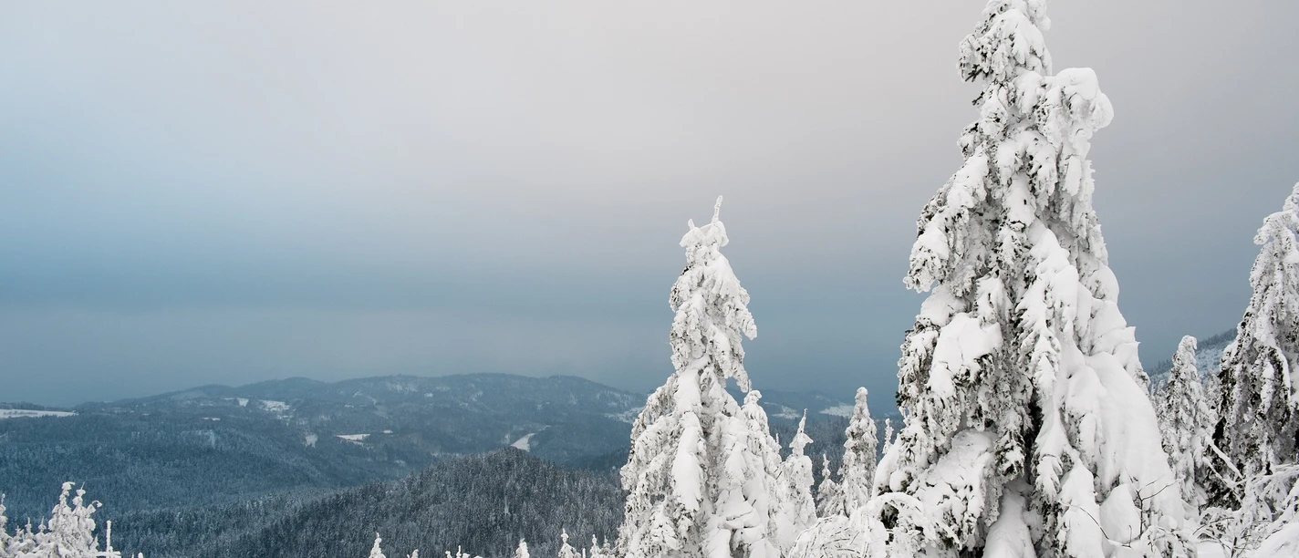 Winterstimmung im Nationalpark Schwarzwald