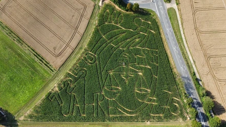 Maislabyrinth Hünfelden von oben Luftaufnahme des Maislabyrinths mit seinen Wegen, rechts daneben eine Straße, links und rechts sind abgeerntete Felder