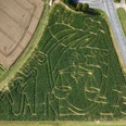 Maislabyrinth Hünfelden von oben Luftaufnahme des Maislabyrinths mit seinen Wegen, rechts daneben eine Straße, links und rechts sind abgeerntete Felder