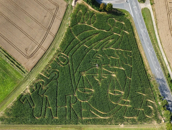 Maislabyrinth Hünfelden von oben Luftaufnahme des Maislabyrinths mit seinen Wegen, rechts daneben eine Straße, links und rechts sind abgeerntete Felder