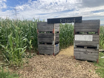 Maislabyrinth Hünfelden Eingang Maisfeld und Holzkisten bilden den Eingang zum Labyrinth
