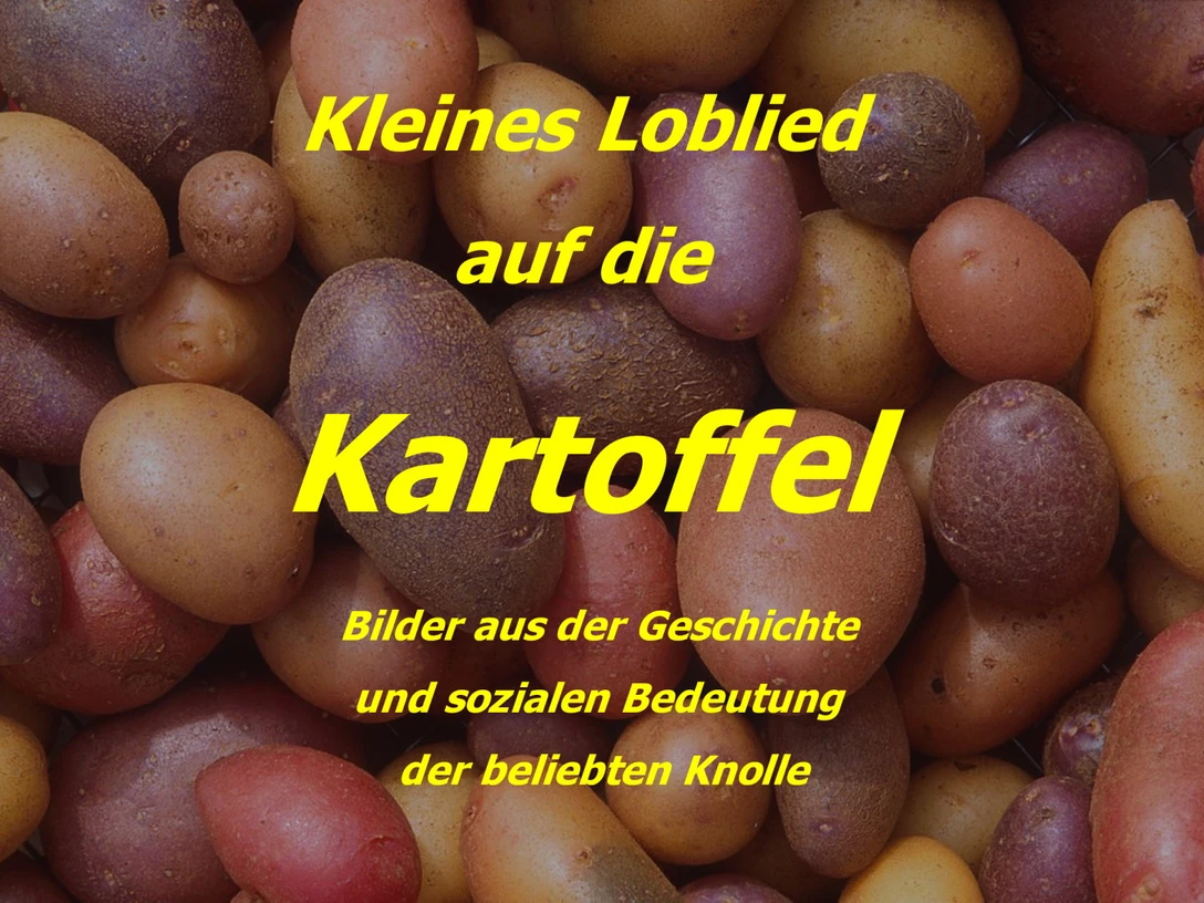 Vortrag Bedeutung der Kartoffel
