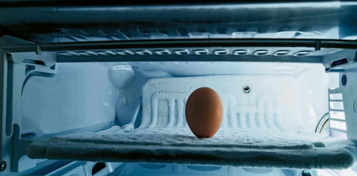 Prajakta Potnis, Capsule 5, 2016, Druck auf Baumwollfaserpapier, 170 x 115 cm © Prajakta Potnis.jpg