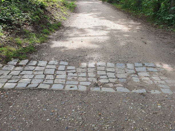 Ein schattiger Wanderweg in einem Waldgebiet mit einer Ablaufrinne aus Kopfsteinpflaster für Regenwasser.