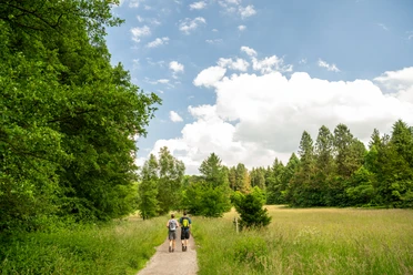 Horn-Bad Meinberg-Silvaticum-Teutoburger-Wald-D-Ketz-179.jpg