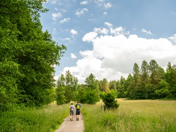 Horn-Bad Meinberg-Silvaticum-Teutoburger-Wald-D-Ketz-179.jpg