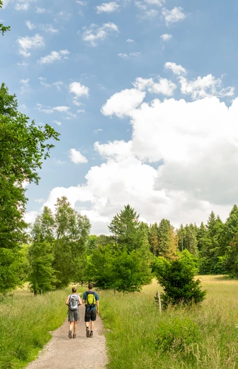 Horn-Bad Meinberg-Silvaticum-Teutoburger-Wald-D-Ketz-179.jpg