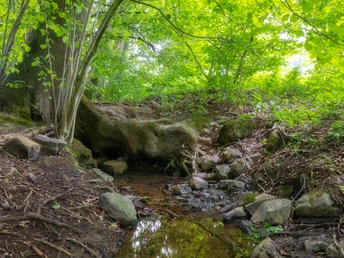 Wehern_Werner Wilmes -WerreQuelle1.jpg