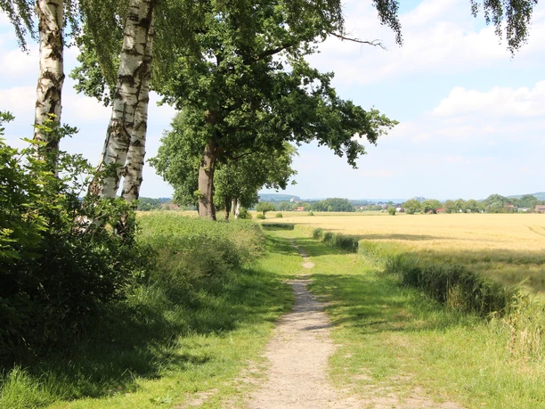 poi-0_Titelbild1 evt.JPG