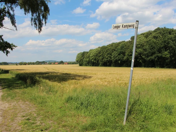 POI-1-Langer Kampweg.JPG