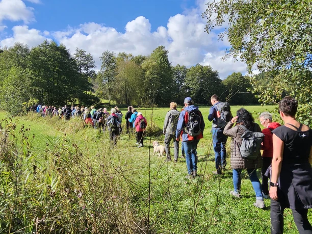 Wanderwoche in der Urlaubsregion Medebach.jpg