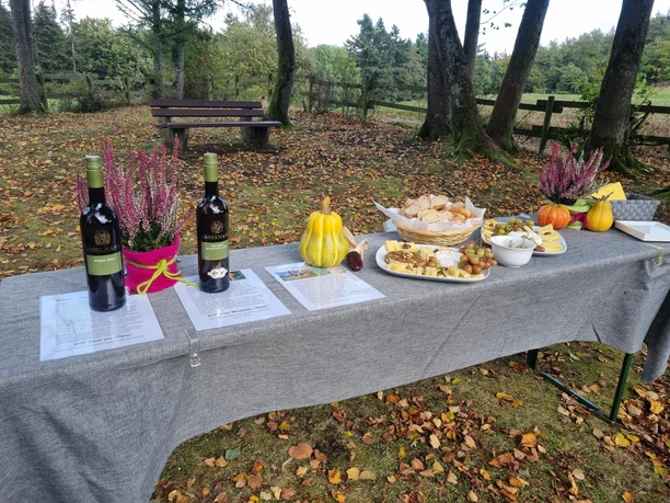 Weinwanderung in Medebach