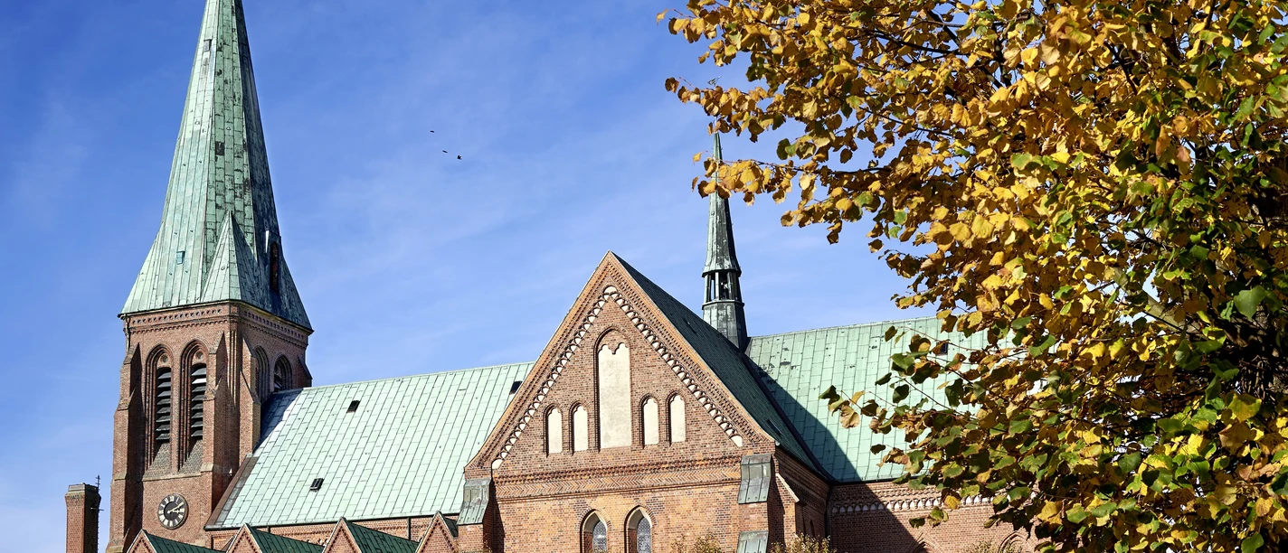 Dom_Herbst_Meldorf dt photocompany 2019.jpg