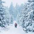Zwei Wanderer im verschneiten Winterwald Zwei Wanderer im verschneiten Winterwald