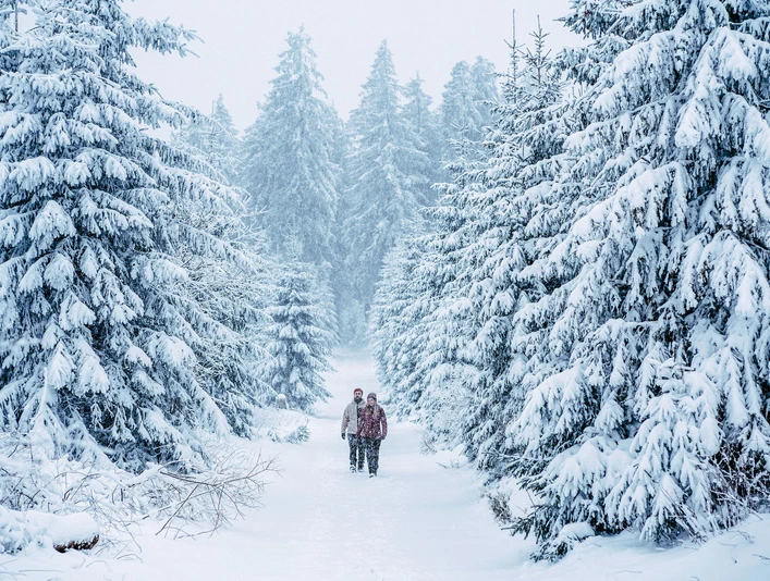 Zwei Wanderer im verschneiten Winterwald Zwei Wanderer im verschneiten Winterwald