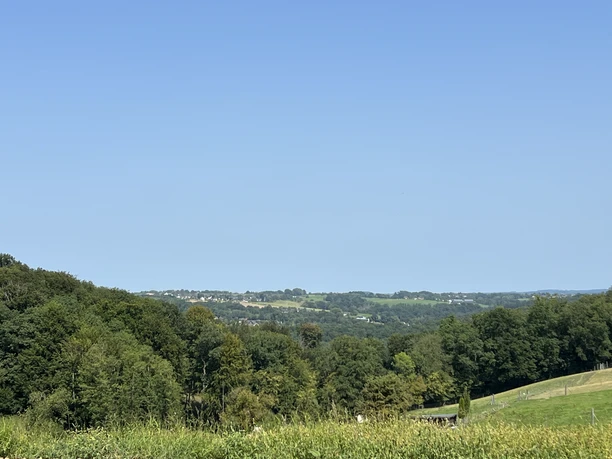 Denkschmiede Weiter Blick über Wälder und Hügel bei Winterscheid unter klarem blauem Himmel