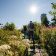 Zwei Wanderer auf einem Pfad hinauf zum Hornisgrinde-Aussichtsturm im Sonnenschein