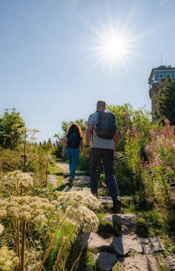 Zwei Wanderer auf einem Pfad hinauf zum Hornisgrinde-Aussichtsturm im Sonnenschein