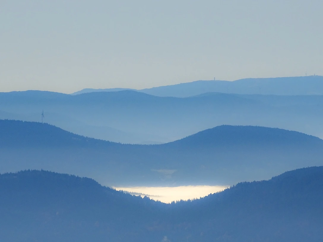 Nationalpark Schwarzwald