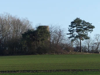 Braunauer Warte mit vorgelagertem Wäldchen