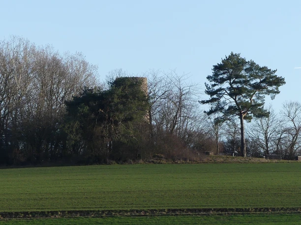Braunauer Warte mit vorgelagertem Wäldchen