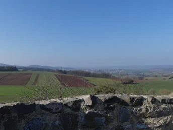 Blick von der Braunauer Warte in Richtung Bad Wildungen im Frühjahr