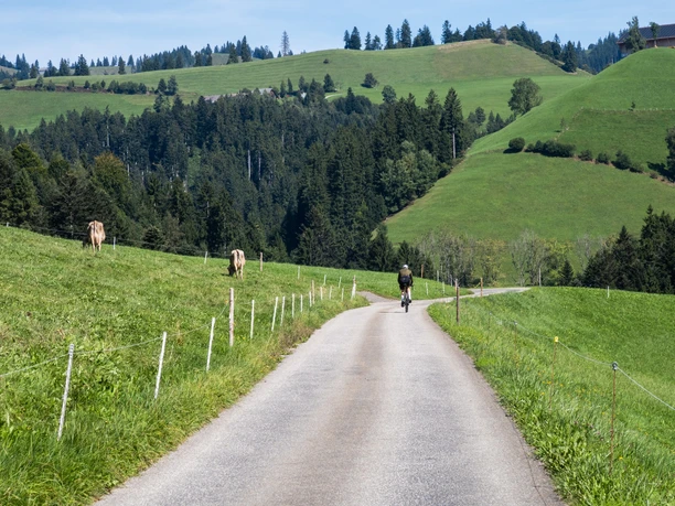 Unterwegs Richtung Gmeinwärch