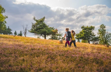 2 Frauen bei der Wanderung durch die blühende Heide 2 Frauen bei der Wanderung durch die blühende Heide