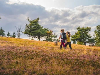 2 Frauen bei der Wanderung durch die blühende Heide 2 Frauen bei der Wanderung durch die blühende Heide