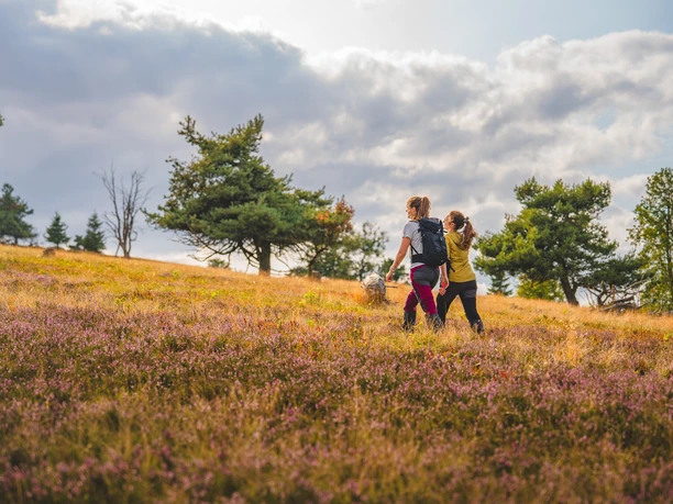 2 Frauen bei der Wanderung durch die blühende Heide 2 Frauen bei der Wanderung durch die blühende Heide
