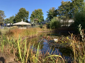 Storchenparadies | Salzkotten-Verlar