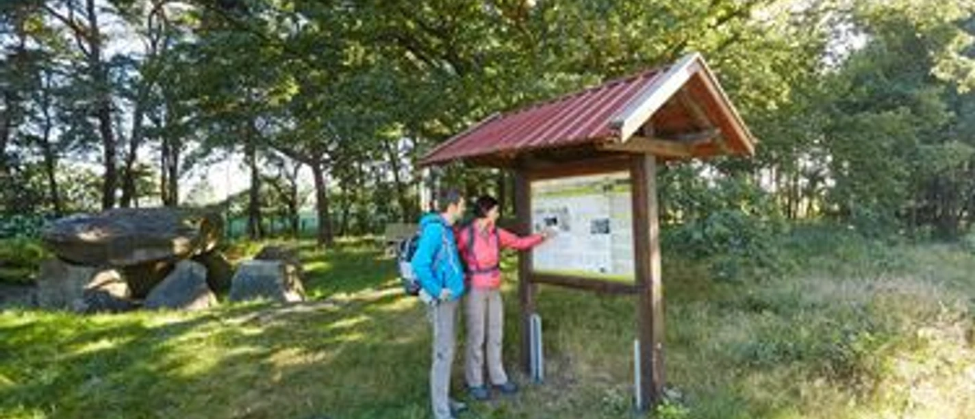 Zwei Wandernde betrachten eine Informationstafel im Grünen nahe großen Findlingen unter Bäumen.