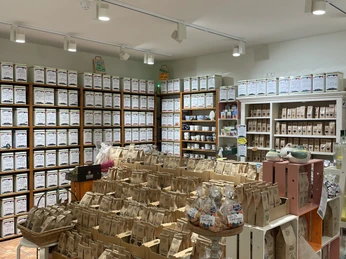 Tee im Teehaus Teekula