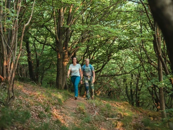 Wanderpaar im Buchenwald Wanderpaar im Buchenwald