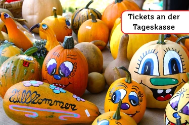 Herbst auf Finkenrech