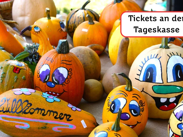 Herbst auf Finkenrech