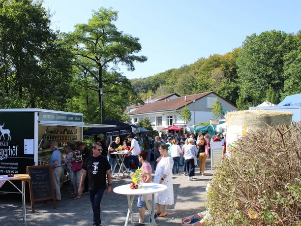 Herbst auf Finkenrech 2024