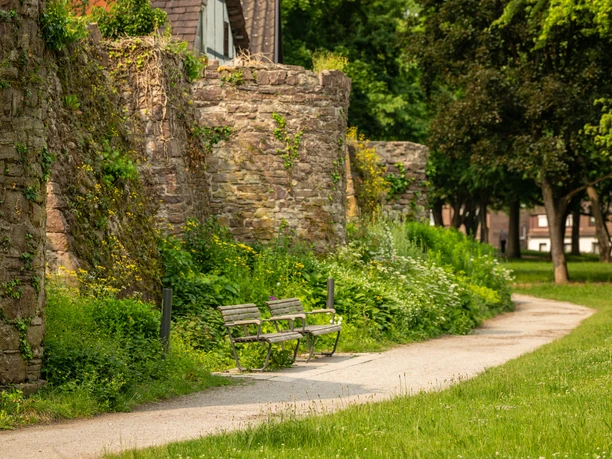 Hoexter-Stadtmauer-Teutoburger-Wald-Stadt-Hoexter-D-Ketz-050-CC-BY-SA.jpg Alte Stadtmauer Höxter neben grünem Weg mit Bank und Bäumen, im Hintergrund historische Gebäude.