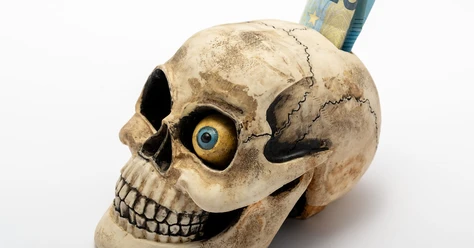 Totenkopf-Spardose-Foto-Nasim-Mohammadi.jpg