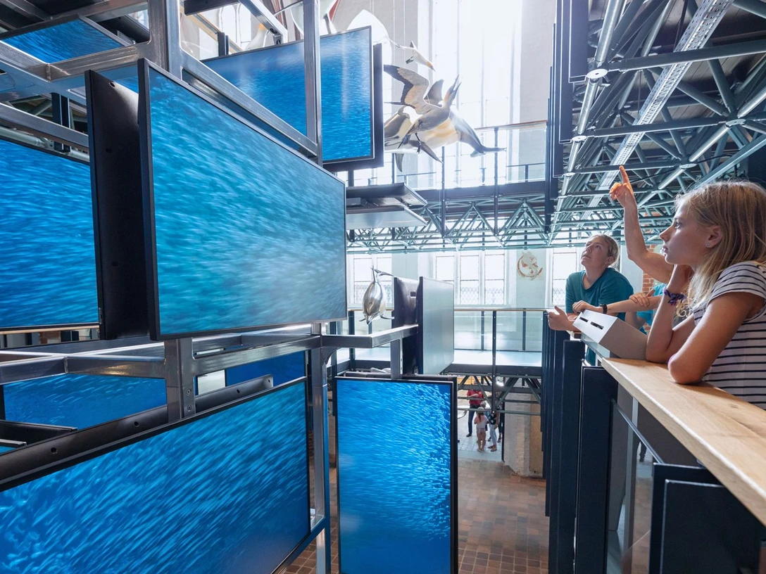 Ein medial inszenierter Sardinenschwarm ist Teil der Eingangsinstallation im MEERESMUSEUM, die von drei Stockwerken aus erlebbar ist