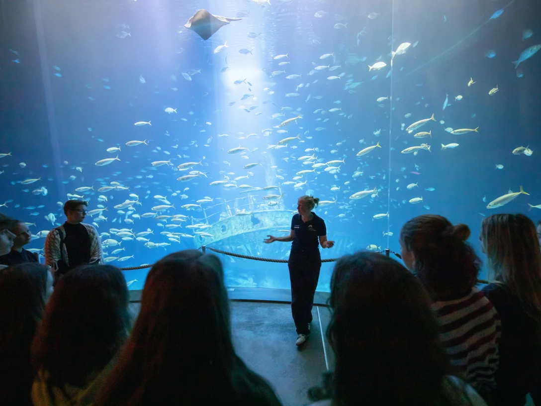 OZEANEUM Führung Jugendliche