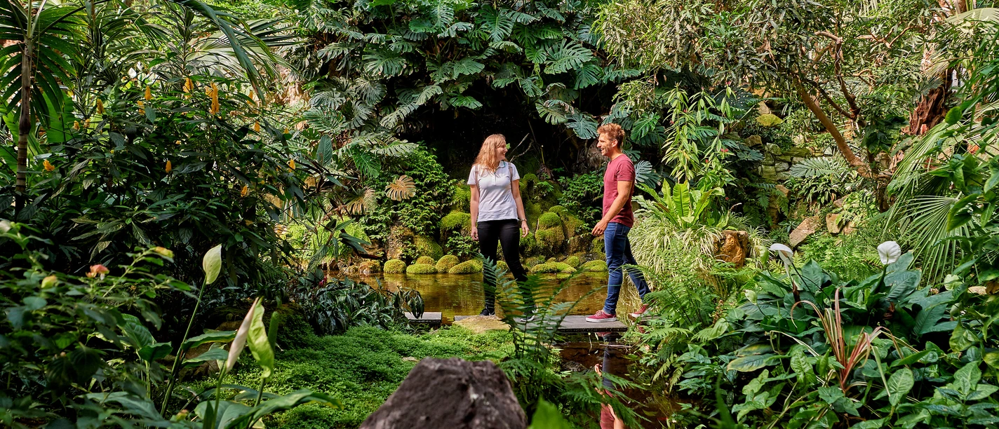 Palmengarten Paar spaziert durch tropische Pflanzenwelt im Palmengarten Frankfurt.