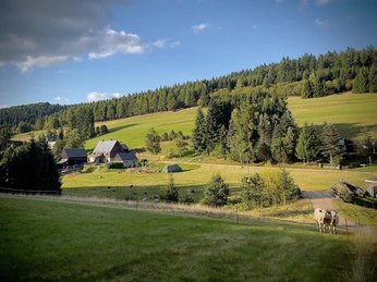 Foto 07.09.25, 17 47 46