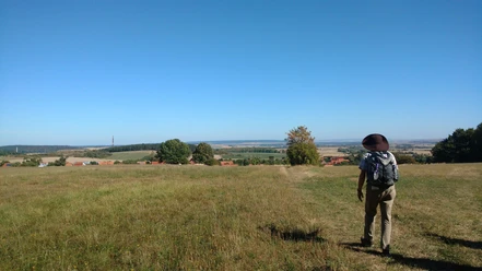 Klosterwanderweg - Feldweg nach Drübeck