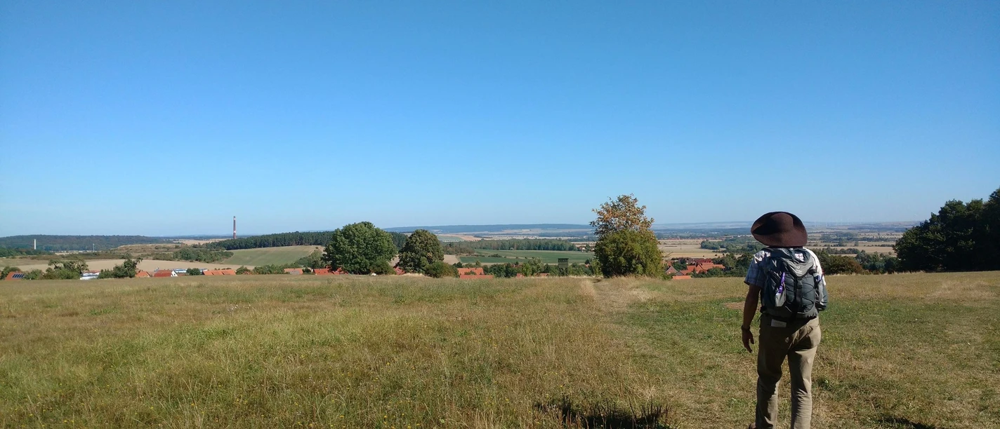 Klosterwanderweg - Feldweg nach Drübeck