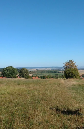 Klosterwanderweg - Feldweg nach Drübeck