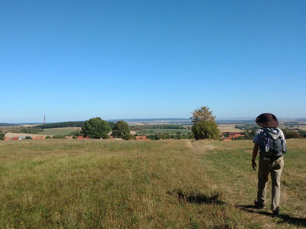 Klosterwanderweg - Feldweg nach Drübeck