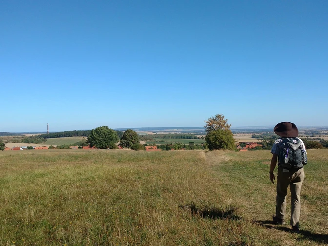 Klosterwanderweg - Feldweg nach Drübeck
