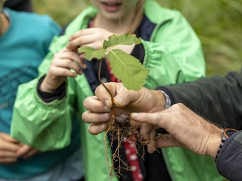 WPZ Riddagshausen, Waldpädagoge Ein Waldpädagoge zeigt einen BaumsämlingA forest educator shows a tree seedlingEn skovpædagog viser en træplante fremEen bosopvoeder toont een zaailing