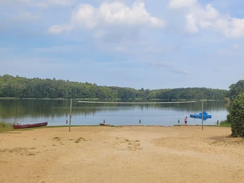Badestelle Campingplatz Lütauer See.jpeg Ein Sandstrand mit Bänken und Blick auf den ruhigen Lütauer See umringt von Bäumen.